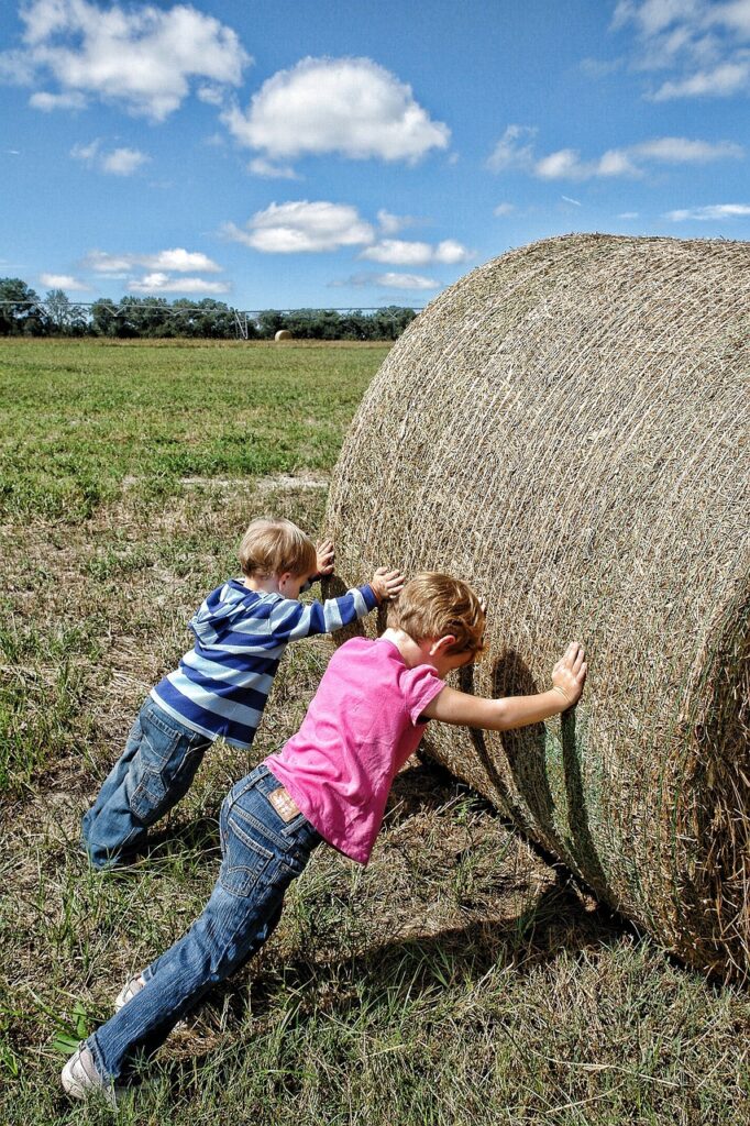 teamwork, farm workers, co-operation-649498.jpg