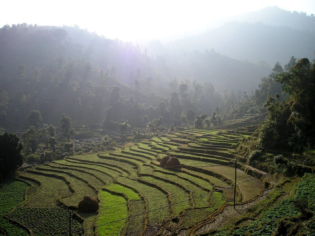 nepal, rice terraces, terraces-386.jpg